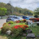 전망좋은휴게소 | 산청 대명사 사찰 인근 전망좋은 맛집 신안면 "진달래휴게소" 점심 후기