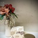 홈에서 즐기는 셀프 피부관리 | [뷰티] 사봉 바디 스크럽 델리케이트 자스민🌸 집에서 즐기는 고급 스파향 스크럽 사용 후기