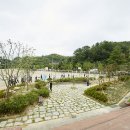 (학교)주영초 이미지