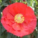 으뜸과버금 이미지