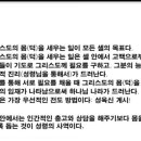 대경셀 네이버블로그