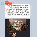 플라워예스플리즈 | 연희동 꽃집 추천 | 환갑 꽃바구니 | 플라워예스플리즈