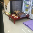 로이PC방 이미지