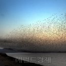 박현구농장 헤럴드경제