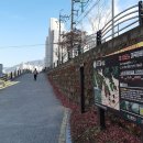 마비정길 이미지