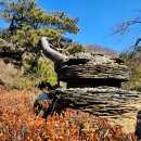 정원행정사 사무소 이미지