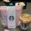 더큰더존푸드 | 스타벅스 실리콘 푸드백 세트 핑크 구매 실사용 후기 스벅 실리콘백 스위트 밀크커피 후기