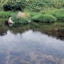 제주화석박물관 이미지