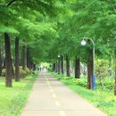 철길숲(양학동) 이미지