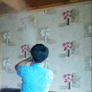 다듬이 세탁 이미지