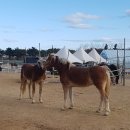 통일전망대 안보교육관 이미지