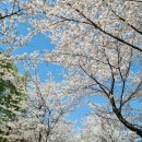 성남2길 이미지