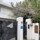 할미방 | [제주] 이상한밤 게스트하우스 2인실+방탈출 / 파티 후기 (내돈내산)