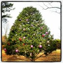 서운동산 이미지