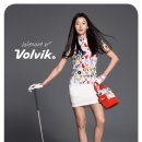 브이골프 이미지