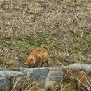 외간체육공원 이미지