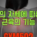 GYM502 네이버블로그