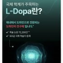 뉴로파인 이미지