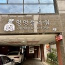 멍멍플라워 이미지