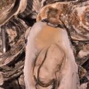 원효 | 원효굴찜 방문 후기