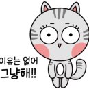 파니아토 이미지