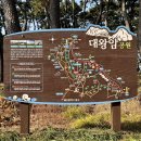 하얀울공원 | 울산 가볼만한곳 ‘대왕암공원’ 출렁다리 울기등대 놀이터 주차