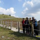 제주서초등학교 이미지