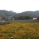 충도리농장 이미지