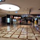 제주한우리 | 잠실 폴바셋 롯데백화점 잠실점 라떼 후기 ☕(모든 메뉴 및 가격정보 총 정리)