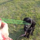 합동 행정사 사무소 이미지