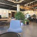 세븐일레븐 세종연기당산점 | 다시 찾고 싶은 카페 조치원 카페 일랑일랑에서 만나는 특별한 추억