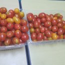 이순희농장 이미지