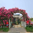 그린고속관광(주) 이미지