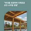 코브541