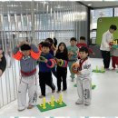 늘푸른태권도체육관 이미지