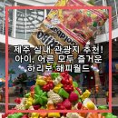 제주인더월드(주) | [공지] [제주놀거리] 제주도 실내 관광지 가볼만한곳! 아이, 어른 모두 즐거운 하리보 해피월드: 솔직후기