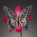 혁진카서비스 이미지