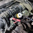 태리카센타 이미지