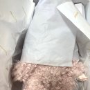 미미아