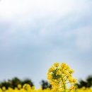 함덕 조아 이미지