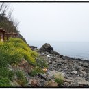 지천소공원 이미지