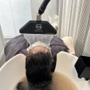 일랑일랑 헤어 이미지