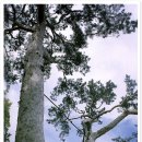 종로-종로-종로-종-126 이미지