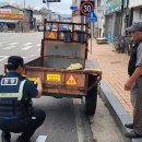 홍보운수 이미지