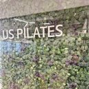 (주)네오위즈온스튜디오 | 부산 화명동 필라테스 어스필라테스 N번째 방문 후기