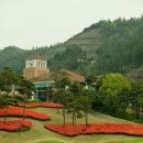 파인힐스컨트리클럽 이미지