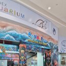 아쿠아트 이미지