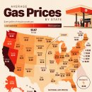 미국 2024년에 어느 주의 가스 가격이 가장 높을까요? 이미지