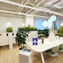 분당-135 이미지