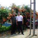 달성초등학교 이미지